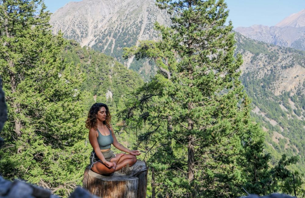 mor-shani-WDz1GEt35UE-unsplash